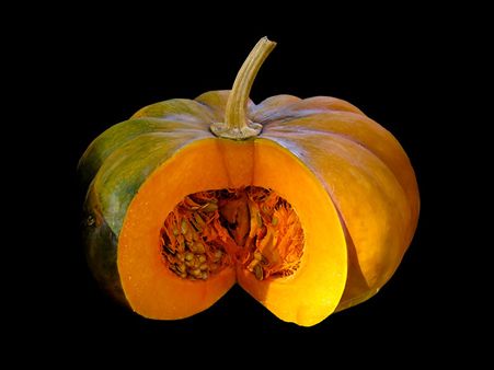 Pumpkin, Honey + Milk