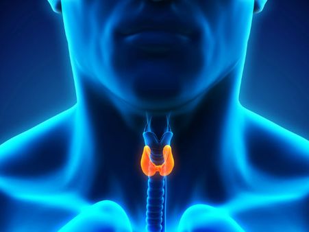 Thyroid Problems Thyroid Problems