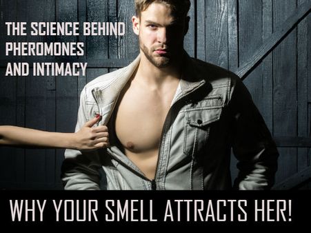 Could It Be Due To Pheromones?