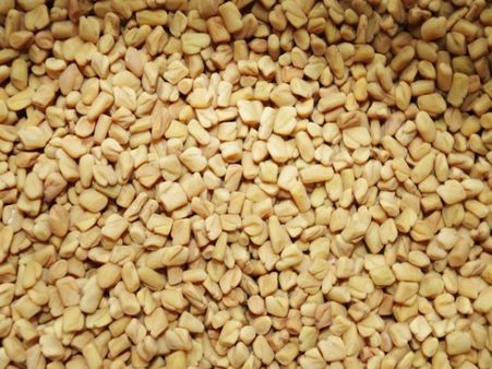 #14 Fenugreek Seeds