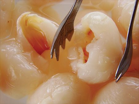 Litchi For Damaged Hair