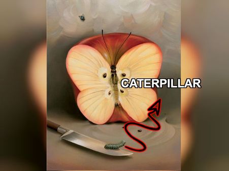 If You Have Seen A Caterpillar First, Then… If You Have Seen A Caterpillar First, Then…