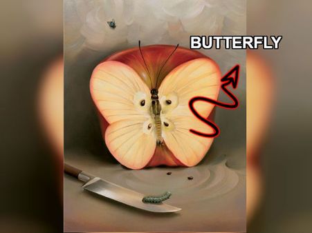 If You Saw A Butterfly First, Then… If You Saw A Butterfly First, Then…