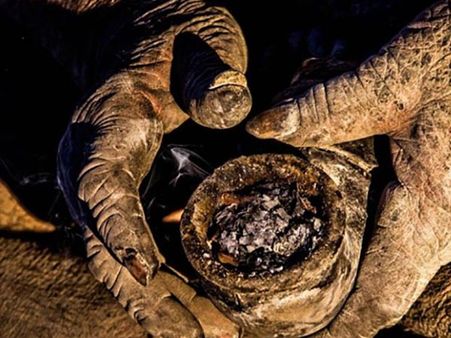 He Does Not Have Anything To Lose! He Does Not Have Anything To Lose!