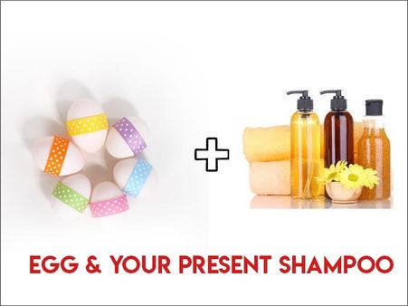 Egg + Your Present Shampoo
