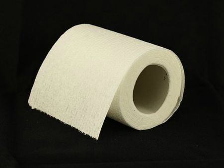 #8 Using Too Much Toilet Paper or Wipes #8 Using Too Much Toilet Paper or Wipes