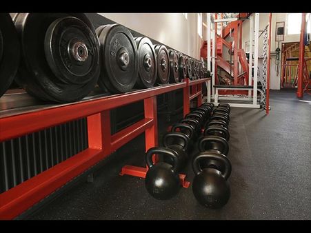 He Had To Be Sedated To Be Rescued… He Had To Be Sedated To Be Rescued…