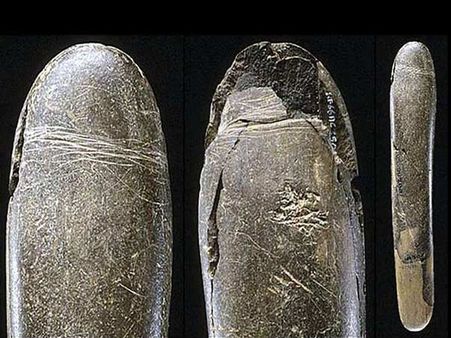 Everything About The Dildo!