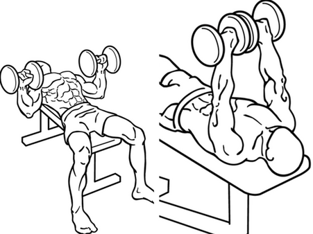 Step 1: Dumbbell Bench Press