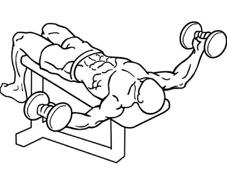 Step 5: Dumbbell Fly 