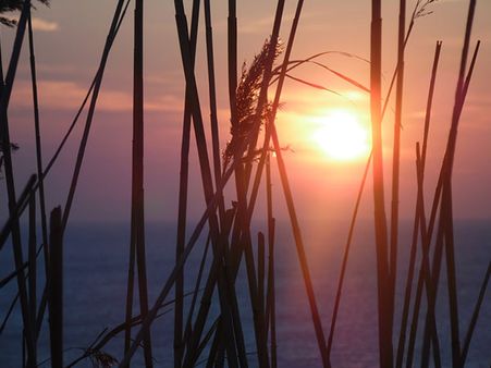 France Heat Wave 2003