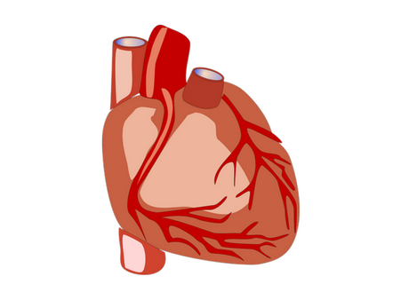 #1 Accidental Discovery