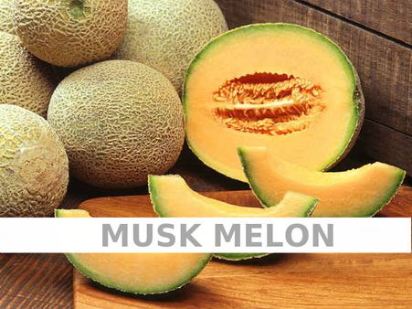 Musk Melon