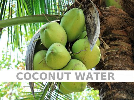 Coconut Water