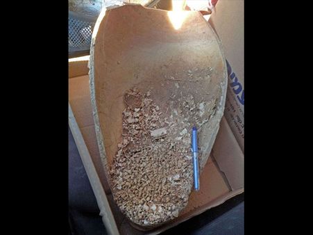 According To Researchers...