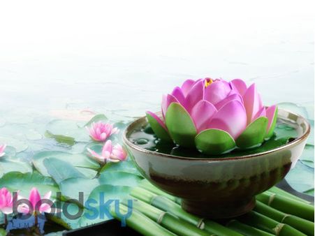 4) The Lotus