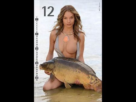 The Concept Is Unique!