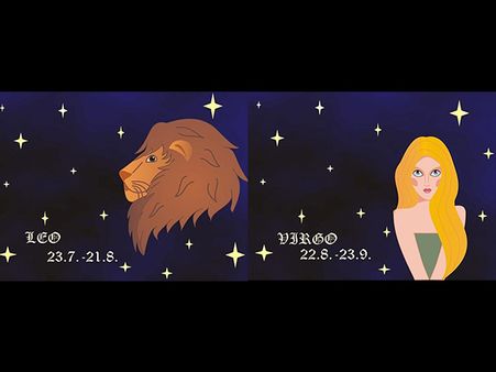 7. Leo And Virgo