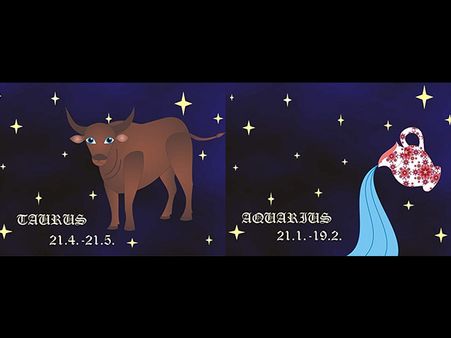 2. Taurus And Aquarius