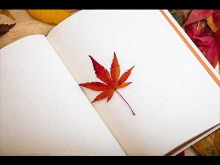 The Accounts Register 