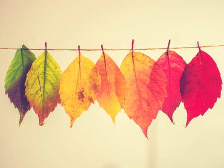 High Risk Group #5: Those Who Are Undergoing Combination Hormone Replacement Therapy 