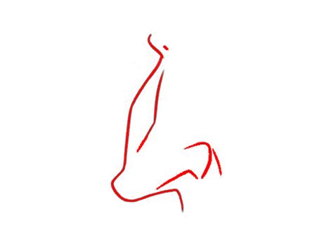 The Crooked Nose The Crooked Nose