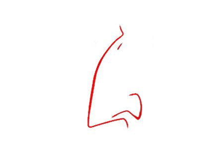 The Arched Nose The Arched Nose