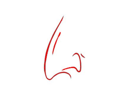 The Hook Nose The Hook Nose