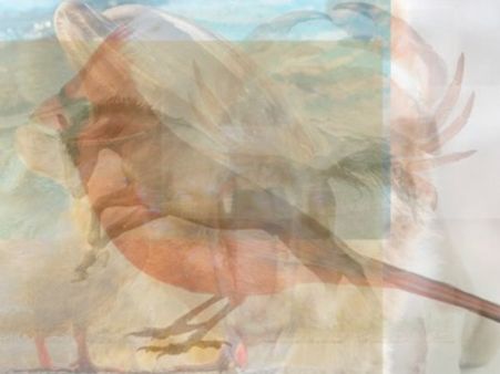 The Dolphin The Dolphin