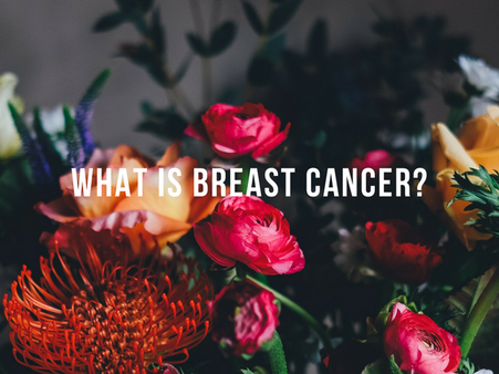 Ria: Breast cancer is a large umbrella term. Can you tell us a little bit about all the conditions that fall under it?