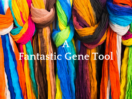 Ria: What is your opinion on Mammaprint? The RNA tool that can detect high risk breast cancer cases even when they are diagnosed as low risk by conventional techniques. Is it in use or is it still in the clinical trial stage? Ria: What is your opinion on Mammaprint? The RNA tool that can detect high risk breast cancer cases even when they are diagnosed as low risk by conventional techniques. Is it in use or is it still in the clinical trial stage?