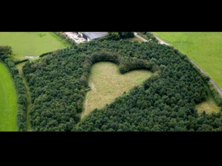 The Devotion Is Amazing... 