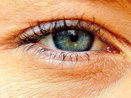 Prominent Eyes Prominent Eyes