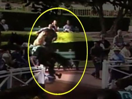 A Horse Had Gone Crazy That Day...