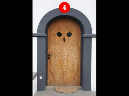 The Owl Door The Owl Door