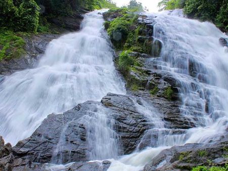 8.Elephants Are Considered To Be Divine 