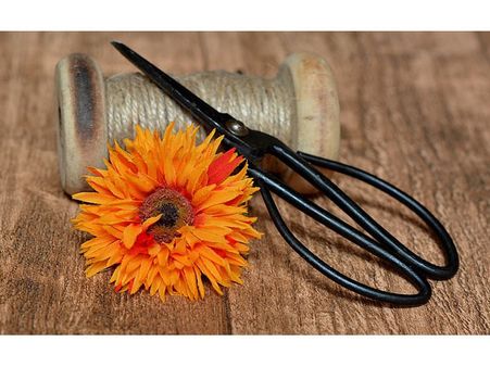 1) Clipping With Scissors: