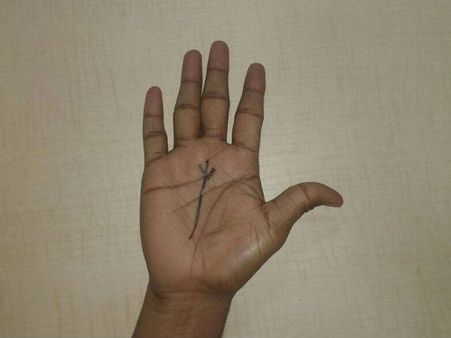 Fate Line That Ends In A Trident