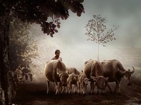 This Village Is In MP