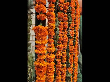 Horoscopes Of Dead Children Are Matched…