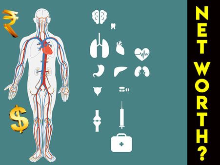 The Overall Net Value Of A Human Body Is