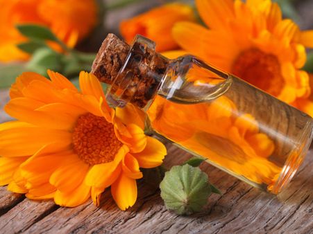8. Calendula Oil