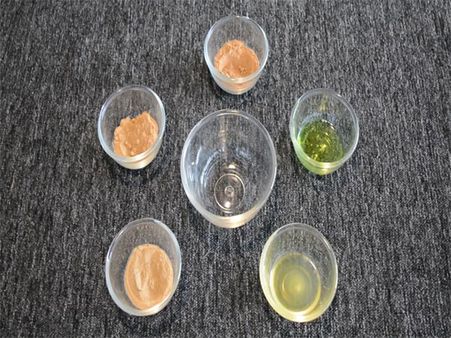 What You’ll Need: What You’ll Need: