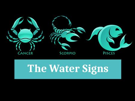 The Water Signs