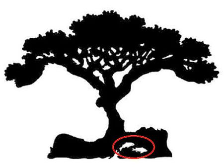 If You Saw A Fish First, Then…