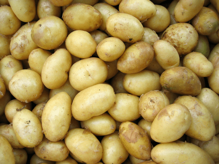 18. Potato