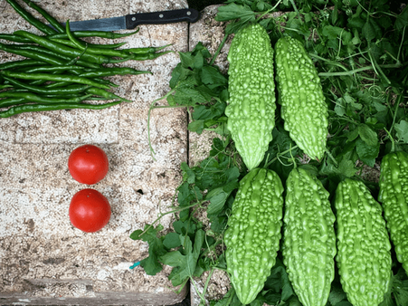 #4 Bitter Gourd #4 Bitter Gourd