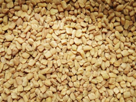 10. Fenugreek 