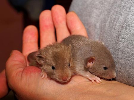 They Do Not Wish To Change Their Lifestyle