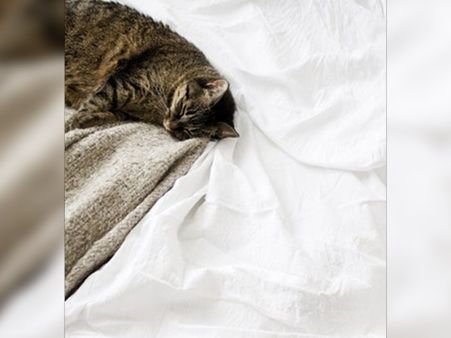 #5 Keep It Cool For A Good Night’s Sleep 